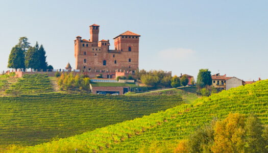 Turismo enogastronomico, vino e olio trainano l’Italia